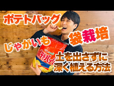 ジャガイモを敷くか植える - それが仕組みです 植物