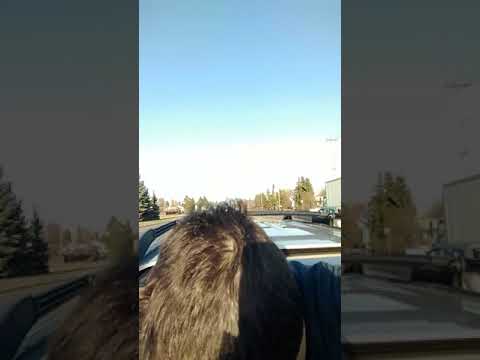 EMDN Movie There's a collision car upside down