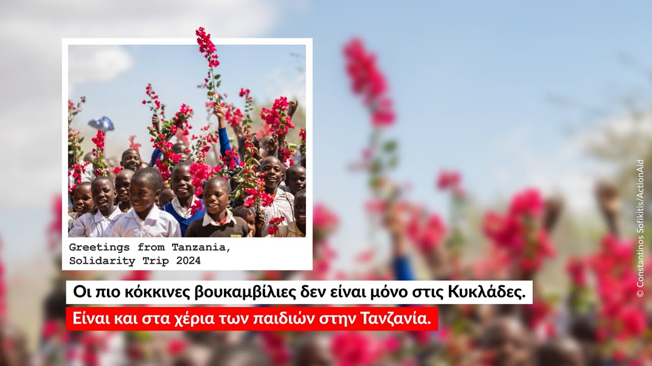 Η πιο ουσιαστική σχέση του καλοκαιριού!