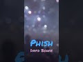 #phish David Bowie at YEMSG