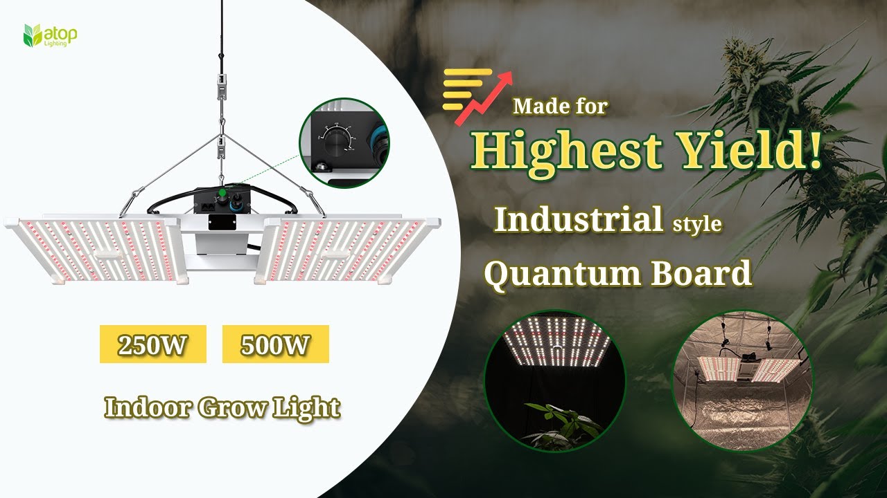 Indoor Grow Light, LED Quantum Board for hydroponics, tent growing and vertical farming