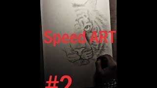preview picture of video 'Speed ART #2 Tiger'