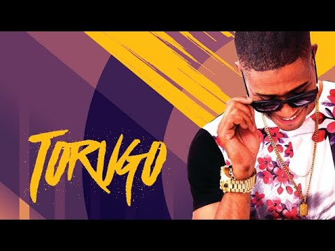 Mc Torugo e Mc Caio - O mais amado pela mulher do inimigo ( DJs Titi, Bruninho PZS e Carlitinho )