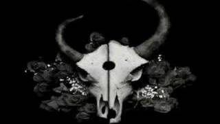 Demon hunter Annihilate the corrupt