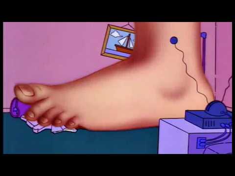 The Simpsons Season 5 Couch Gags HQ 4:3