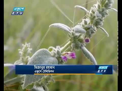 উত্তরাঞ্চলে শীতের আমেজ