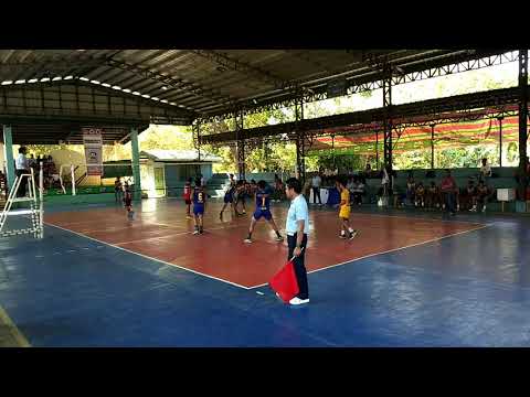Palarong Pambansa 2018