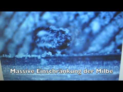 Wirkung von Cumbasil Mite gegen Vogelmilben