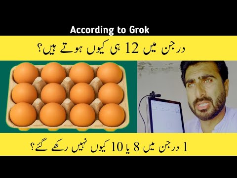 Why a Dozen is 12 – Not 8 or 10? | Solved with Grok AI