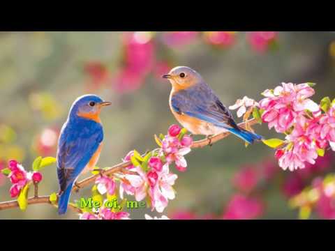 Mùa xuân vắng mẹ - Lê Minh Trung