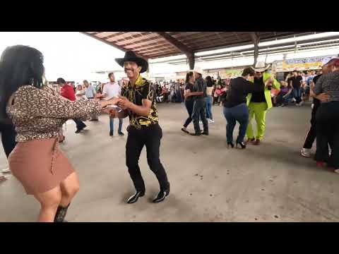 Dia del 26 de febrero en la pulga de Alamo