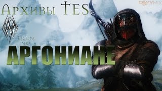 Архивы TES - Аргониане.