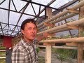Vertical Hydroponic DIY System uses a Single ...