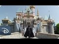 Darth Vader goes to disneyland