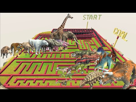 Animal vs. Dinosaur speed race. A course that runs around the field | Animal Revolt Battle Simulator