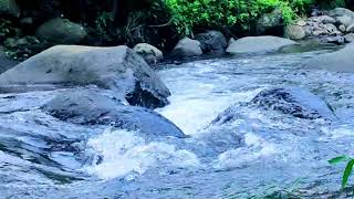 The Real Difference Between Ocean Waves and Waterfall Sounds for Sleep