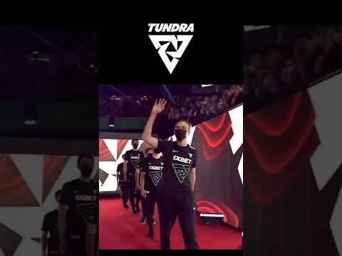 TI11 final's team intro TUNDRA 🤯🤯🤯 #dotashorts #shorts #TI11