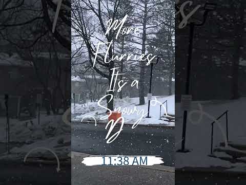 Ever changing Weather- Flurries - Canada Special #flurry #flurries #canada #canadaweather #shorts
