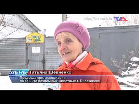 Выпуск программы “День” от 1 февраля 2022г.