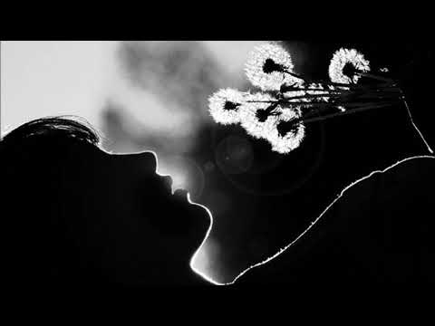 Erdi Irmak - Land Of Roots (Original Mix)