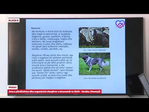 e Mesimi Klasa 6 - 6358 Histori - Jeta e përditshme dhe organizimi shoqëror e ekonomik te ilirët