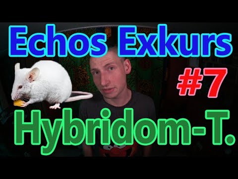 Echos Exkurs #7 - Hybridom-Technik