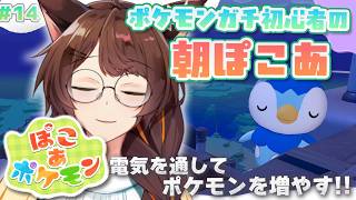 【ぽこあポケモン】火曜日の、のんびり朝ぽこあ☀電気を通してポケモンをいっぱい呼びたい【 にじさんじフミ 】#14