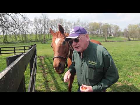 Old Friends Virtual Tour - AWESOME GEM, BIG BLUE NATION & IVAN FALLUNOVALOT