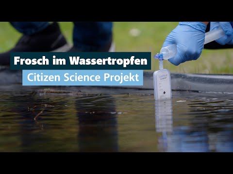 Frosch im Wassertropfen