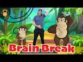 5 Minute Brain Break Movement Break For KIDS