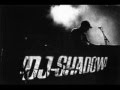 DJ Shadow - Reconstruction Medley