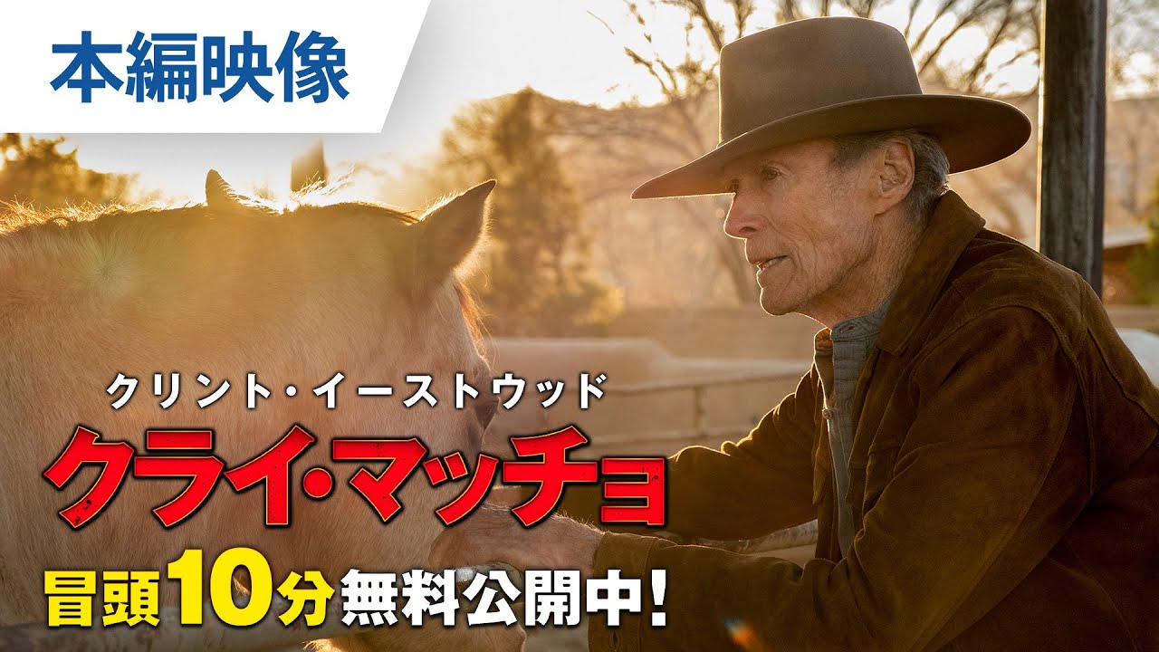 THE映画評論『Cry Macho』 | mAbによる映画一期一会