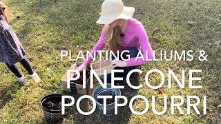 Planting Fall BULBS, Alliums and Making Pinecone Potpourri