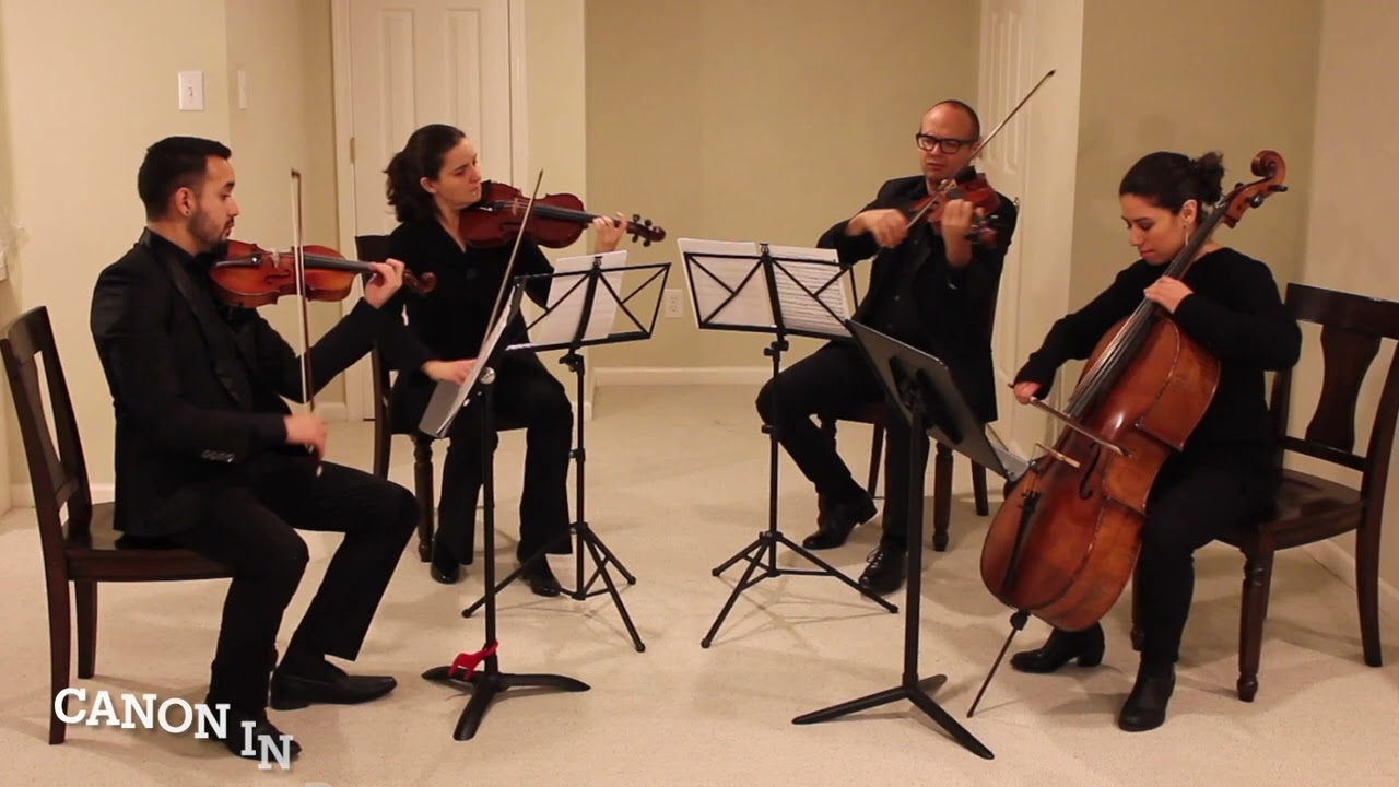 Promotional video thumbnail 1 for Sweet Harmony Live Music