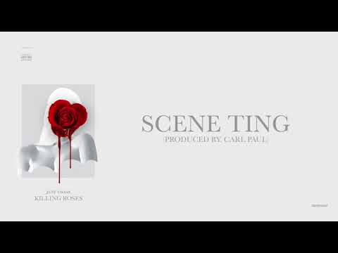 8. Just Chase "Scene Ting"  (Killing Roses Mixtape Official Audio) **Remix