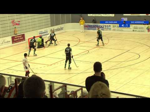 1. Rollhockey Bundesliga - 12. Spieltag