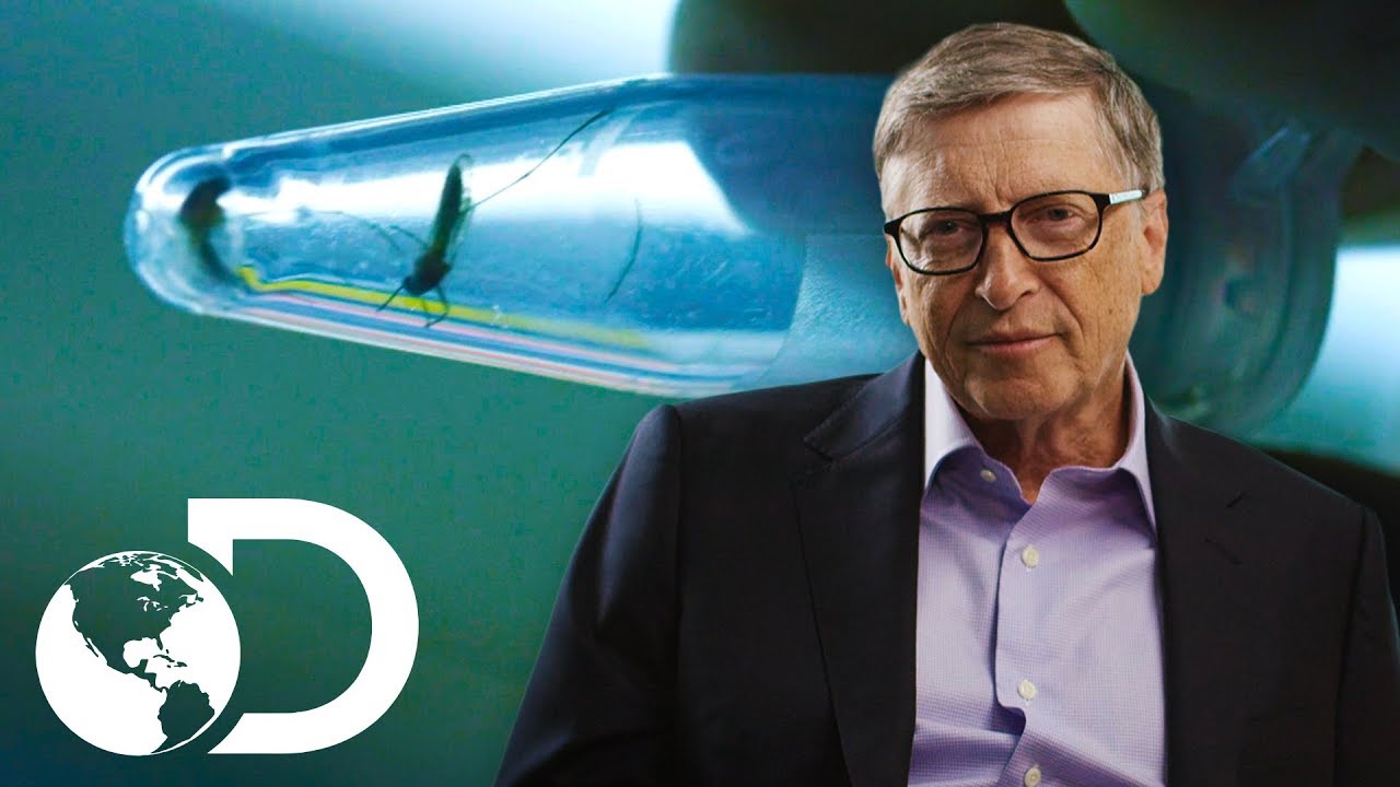 O uso da biotecnologia para combater epidemias | Mosquito | Discovery Brasil