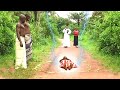 The Powerful Priest Of God Came To STOP The Evil Heartless Village Chief Priest - African Movies