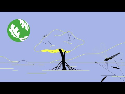 A Natural Solution to Climate Change - YouTube