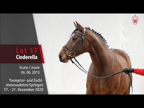 Youngster- u. Zuchtstutenauktion/Springen17 Cinderella Stute v. Cascadello I -  Paradox