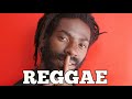 BEST REGGAE PARTY MIX Buju Banton Sizzla Capleton Sanchez Beres Hammond Jah Cure Sean Paul