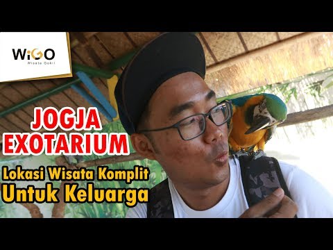 download lagu mp3 mp4 Exotarium, download lagu Exotarium gratis, unduh video klip Exotarium