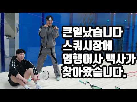 큰일났습니다.  스쿼시장에 엄행어사 백사가 찾아왔습니다.