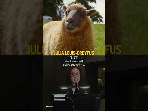 Meet The Flock