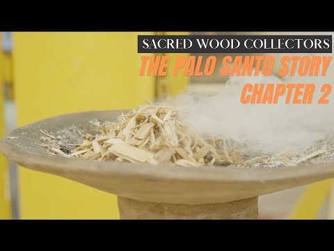 THE SACRED WOOD COLLECTORS - The Palo Santo Story - CHAPTER 2