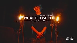 What Did We Do Music Video