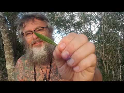 ACIM WB Lesson 28 ~ A COURSE IN MIRACLES WORKBOOK LESSONS ~ 365 DAYS W/ DAVE PHARE