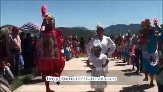 preview picture of video 'En el Cerrito. Las Hormiguitas. Danza de La Gilita, Coah.'