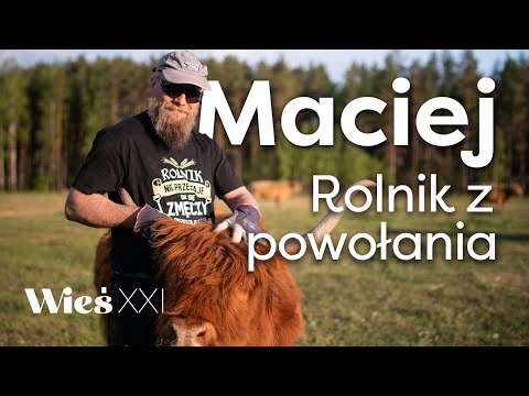 , title : 'Maciej z ROLNICY PODLASIE opowiada o pasji, opłacalności i krowach Highland Cattle [Wieś XXI]'