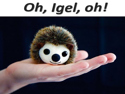 Es war einmal ein Igel